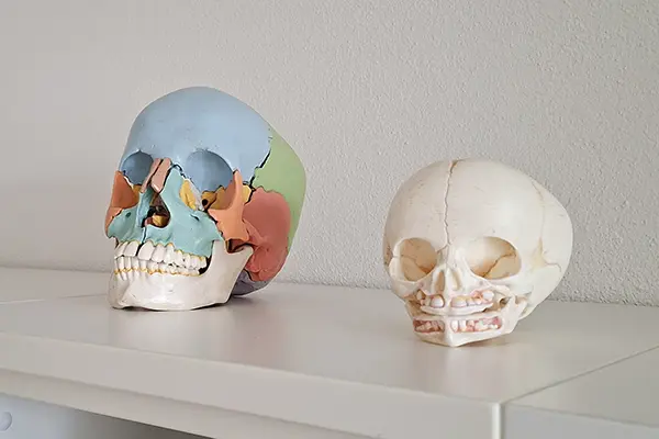 Osteopathie für Babys, Kinder, Jugendliche, Erwachsene